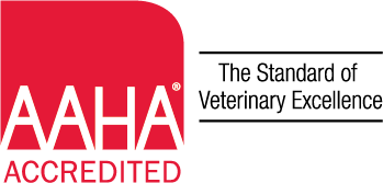 A Commitment to Excellence: AAHA-Accredited Veterinary Care at Brookfield Animal Hospital