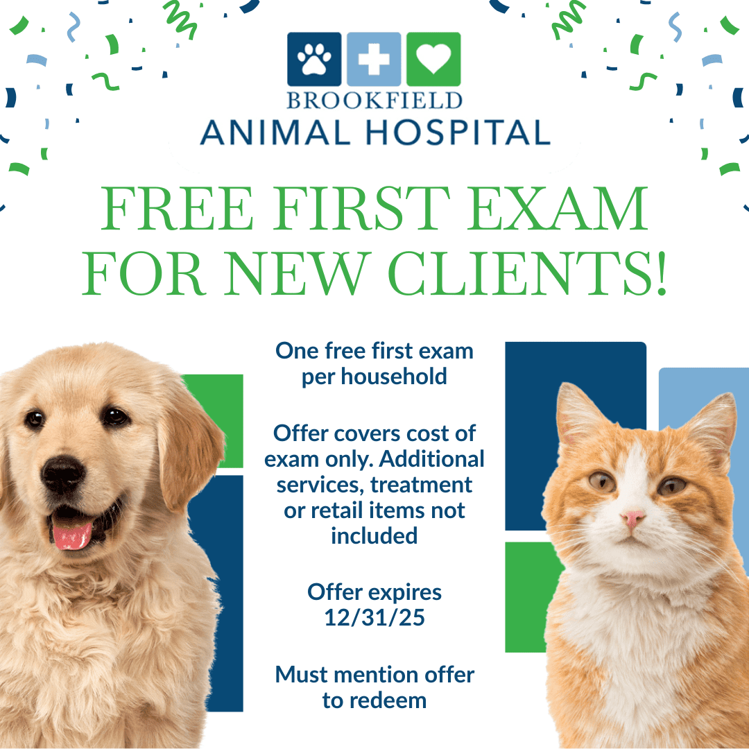 Brookfield Animal Hospital Meta Ad 1080x1080 (1)