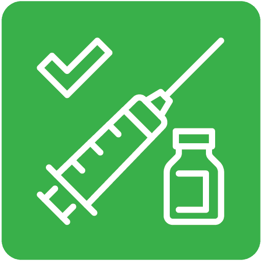 Vaccinations Syringe Icon