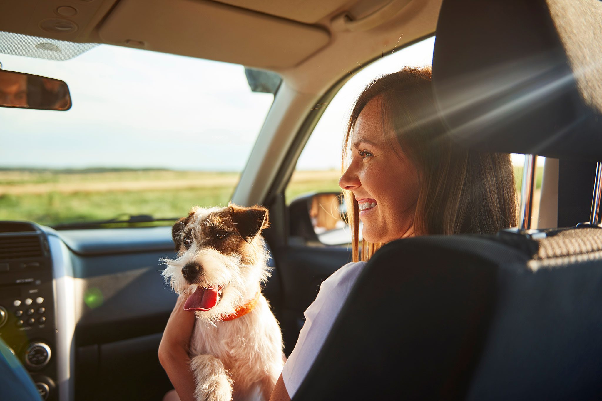 happy young woman holding small fluffy dog in lap during car ride