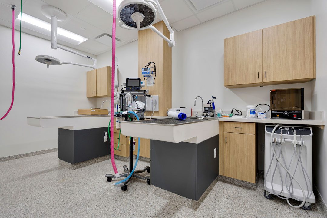diagnostics room at veterinary clinic with x-ray equipment