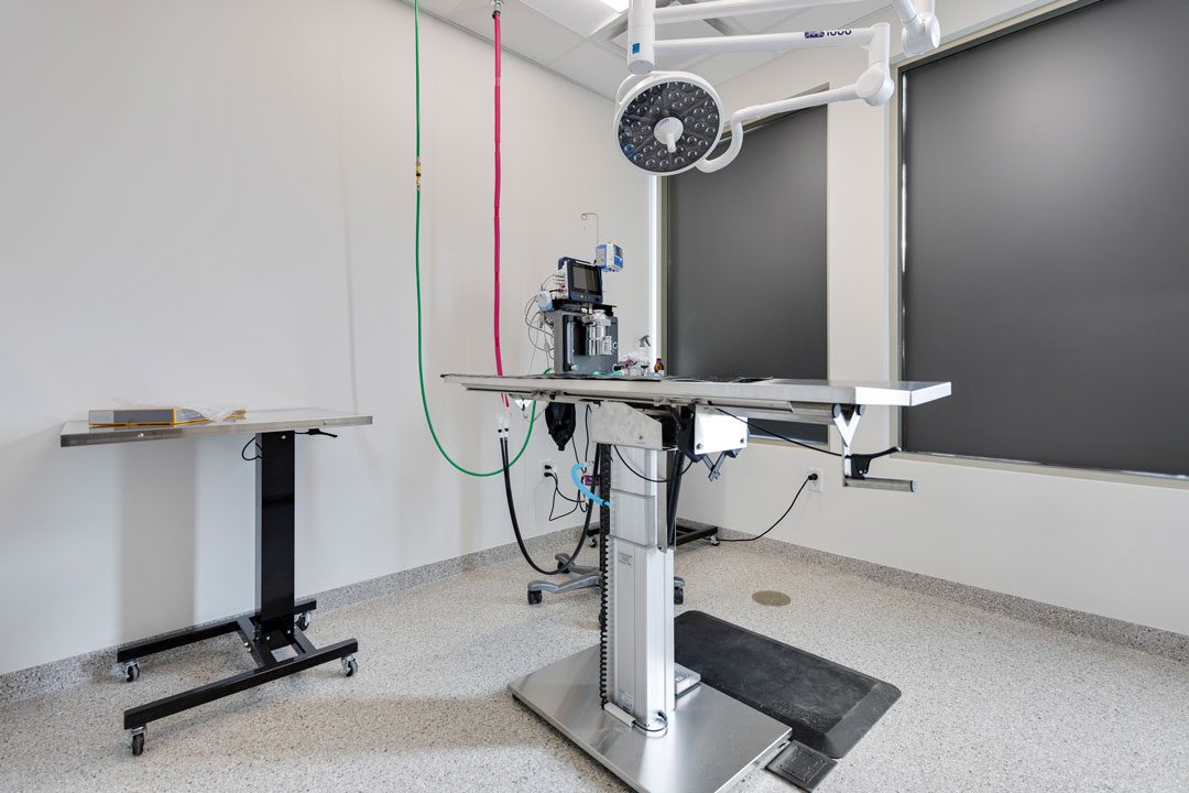 surgical table and equipment at veterinary hospital
