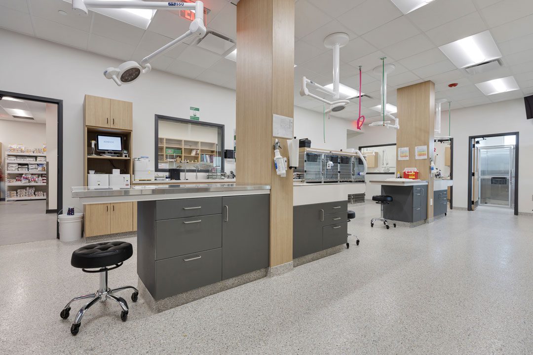 Veterinary Clinic Exam Room