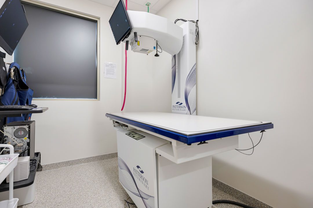 X-ray machine at veterinary clinic