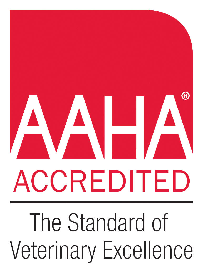 Aaha Logo