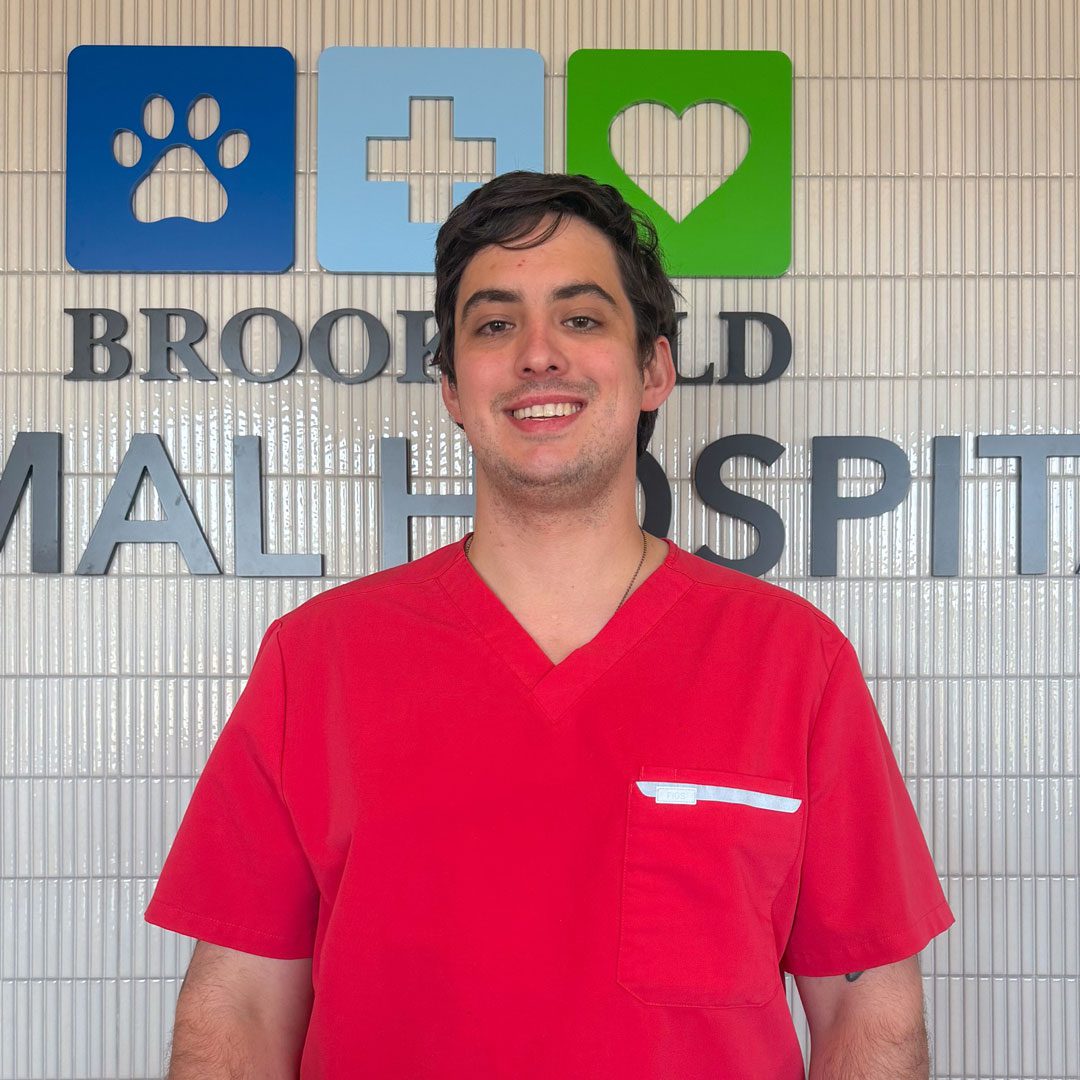 smiling male veterinarian with dark brown hair